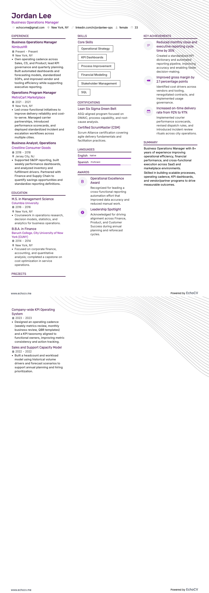 Business Operations Manager example resume