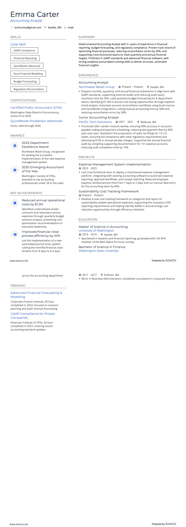 会計アナリスト example resume