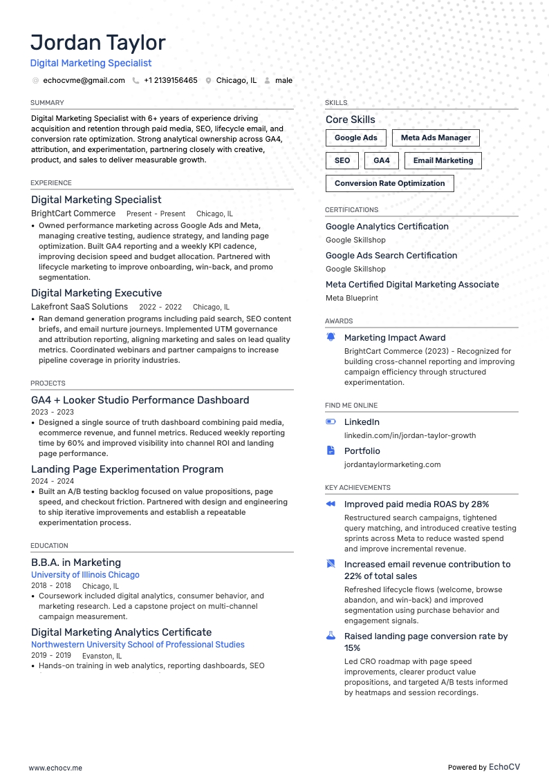 数字营销主管 resume example