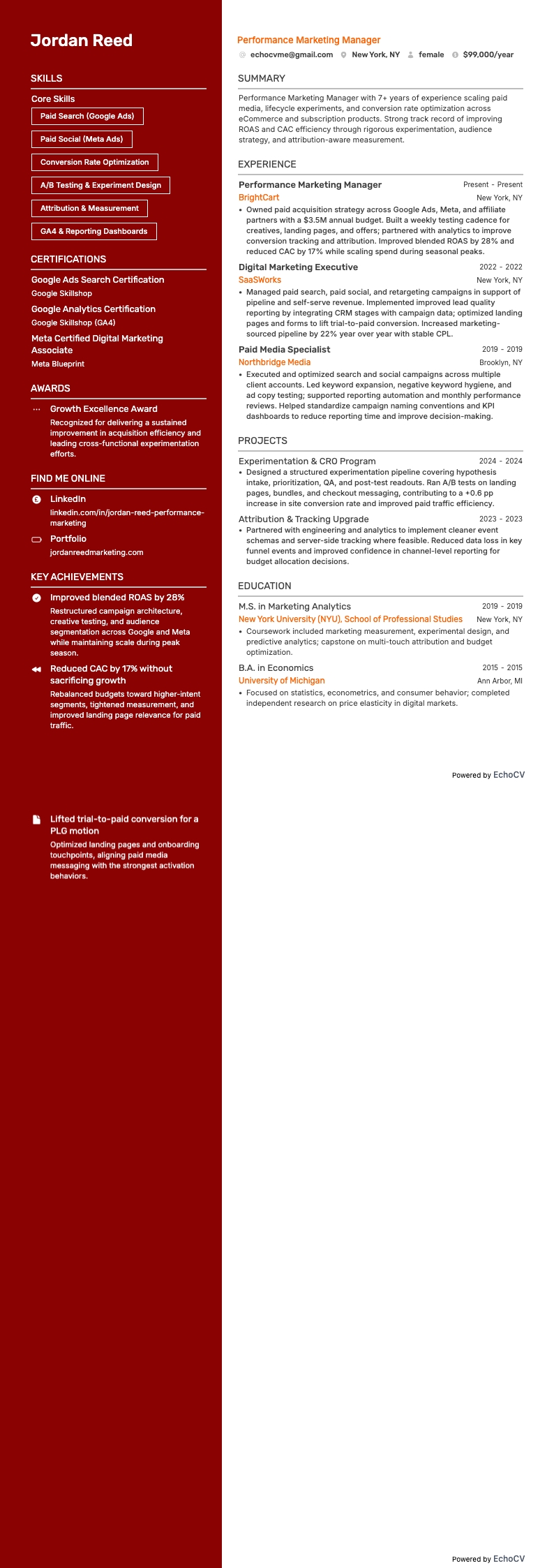 Digital marketing executive resume example