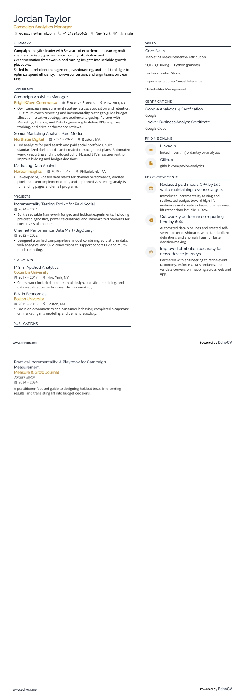 애널리틱스 매니저 resume example