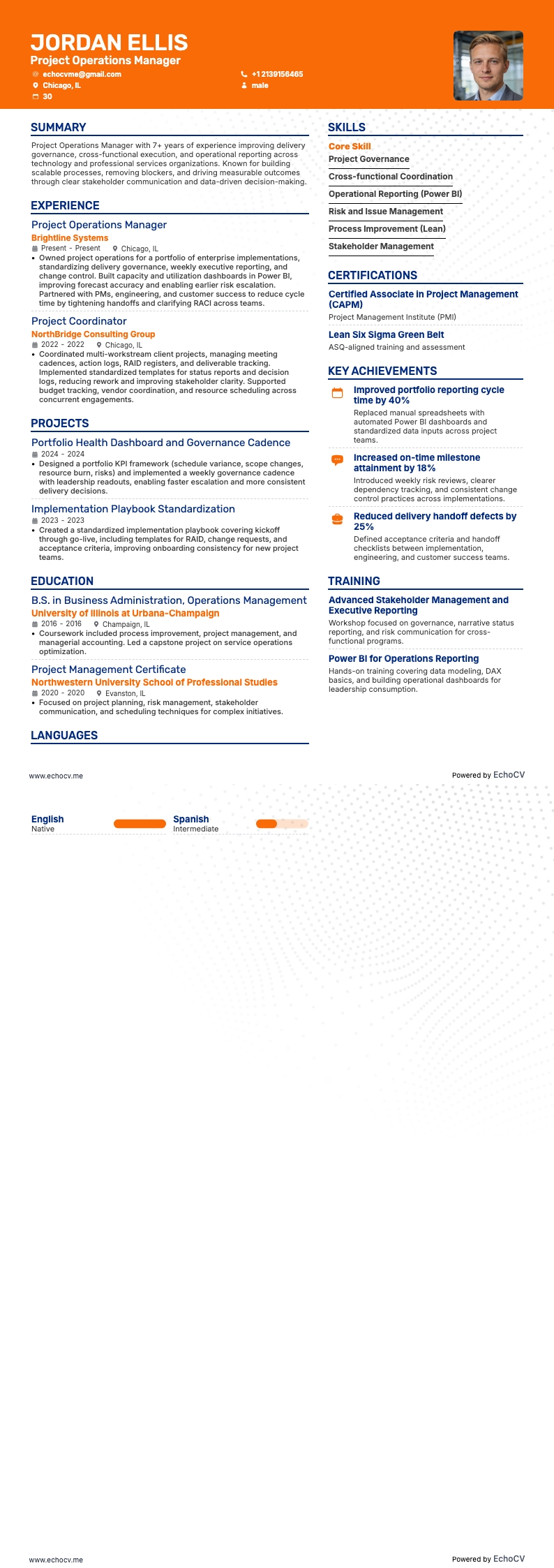 Project Operations Manager example resume