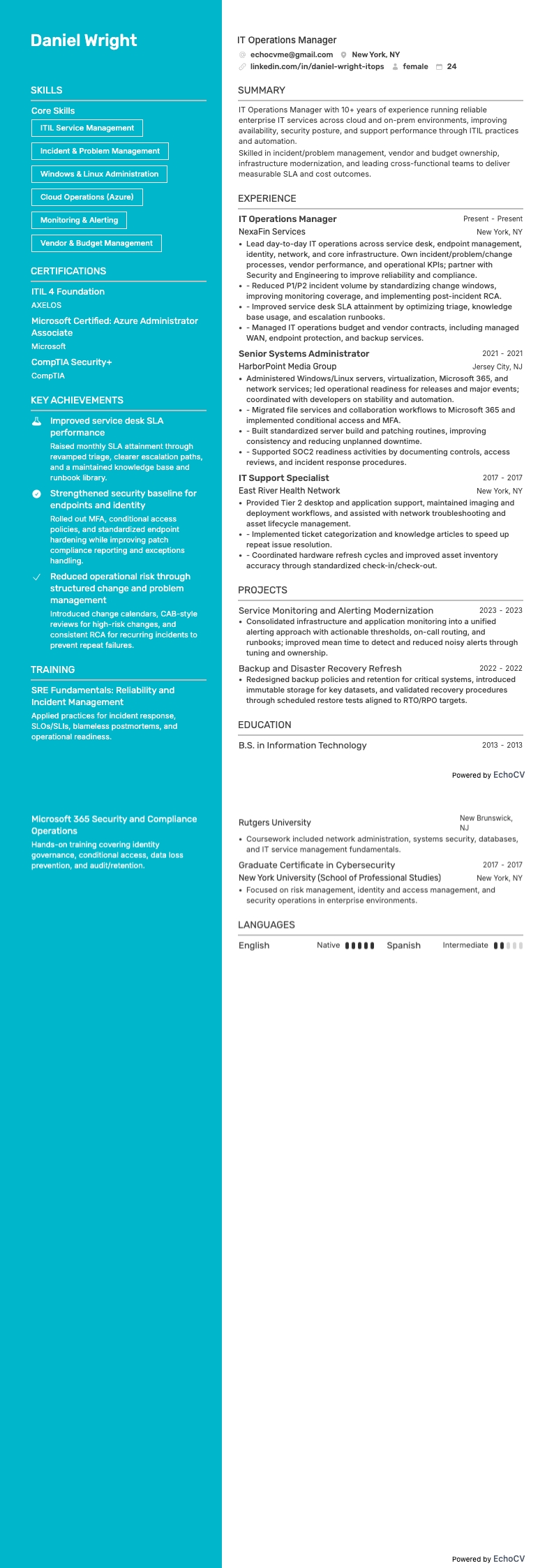 IT Operations Manager example resume