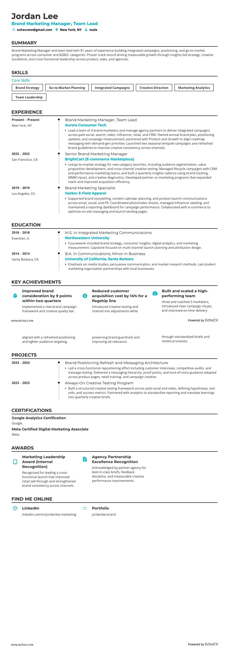 Brand Marketing Manager resume example