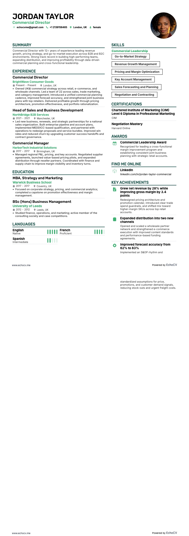 商务总监 resume example