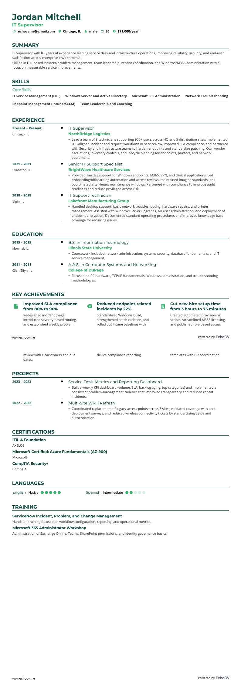 IT Supervisor example resume