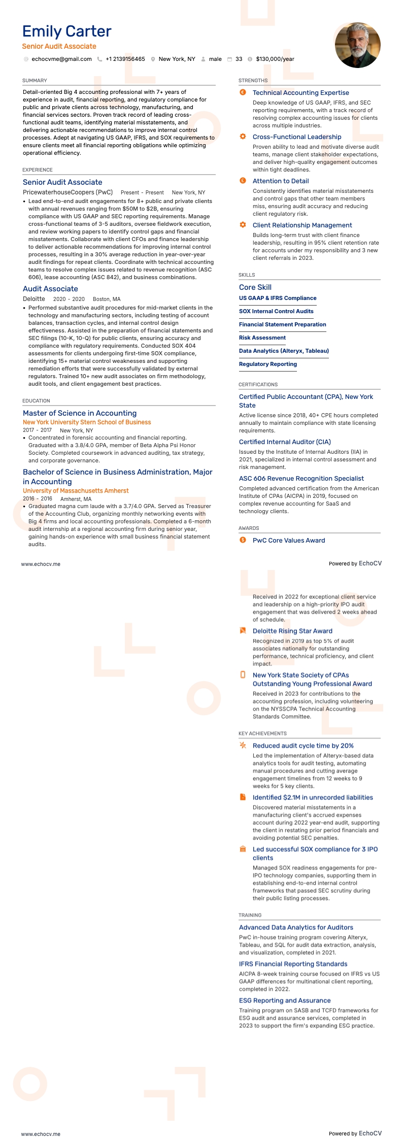 Big 4 会計 example resume