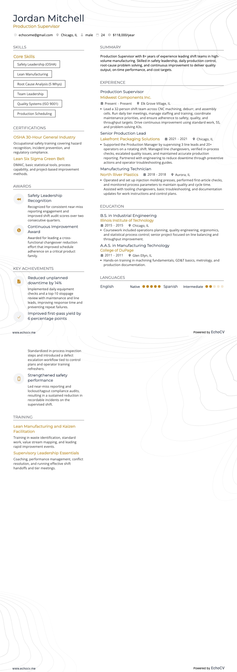 Production Supervisor example resume