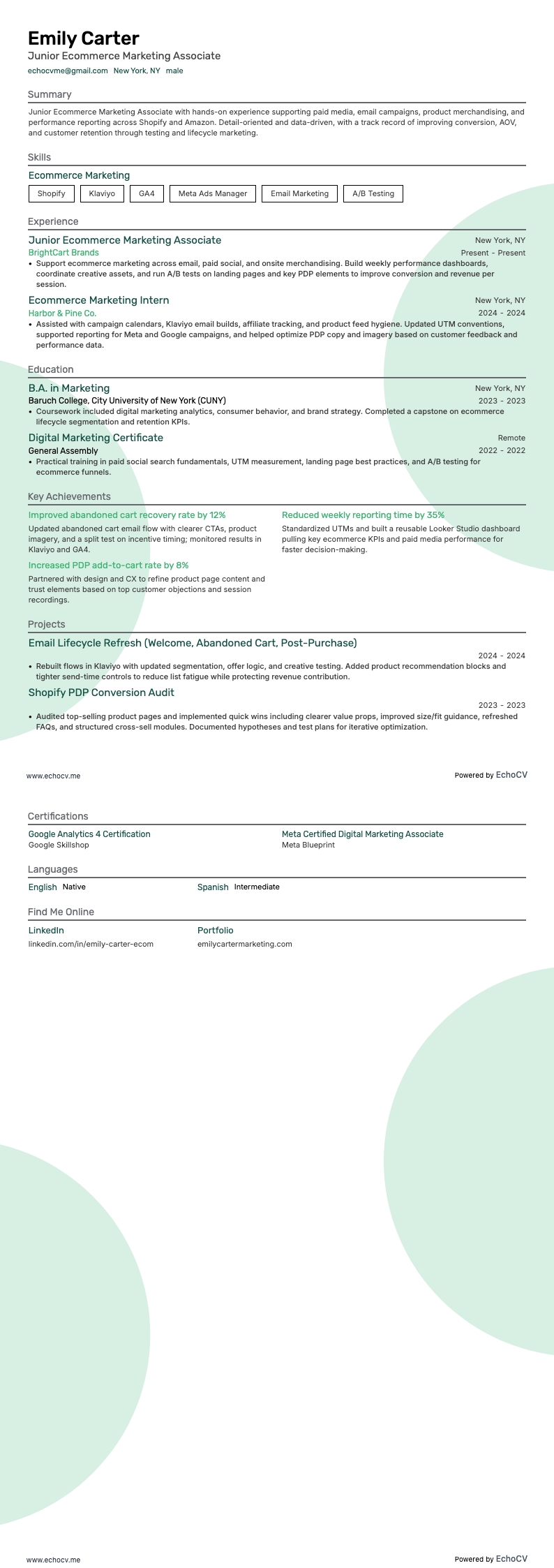 Junior Ecommerce Marketing Associate example resume