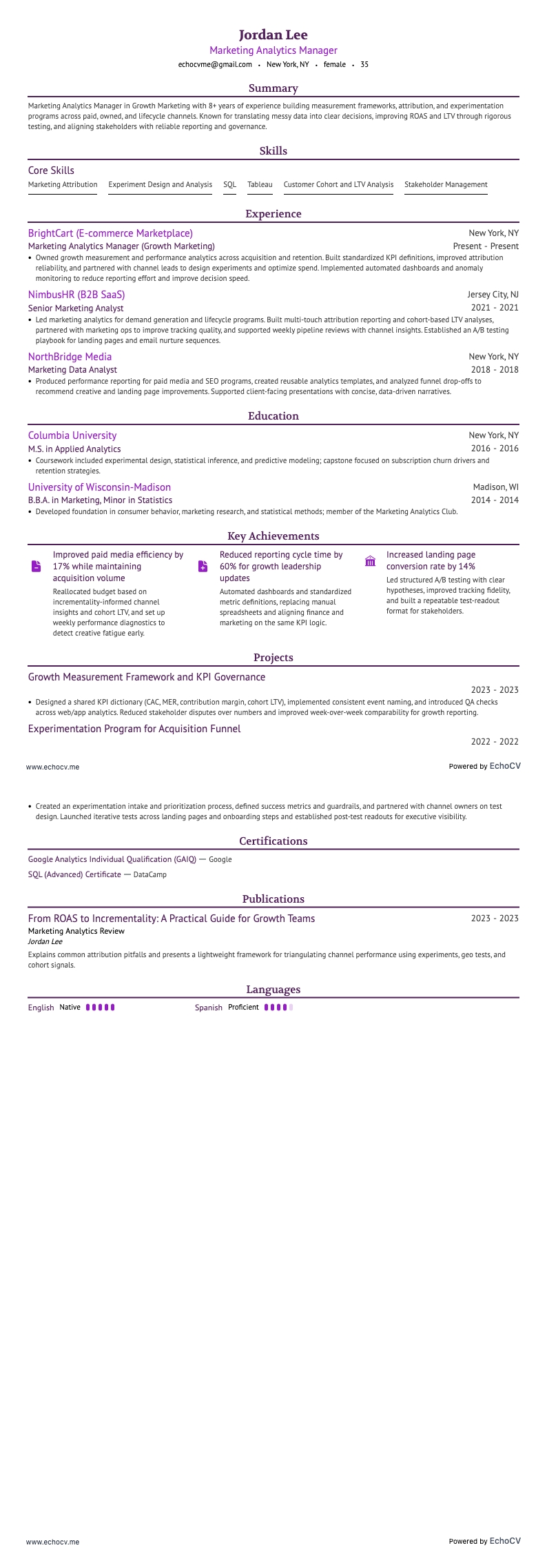 Marketing Analytics Manager example resume