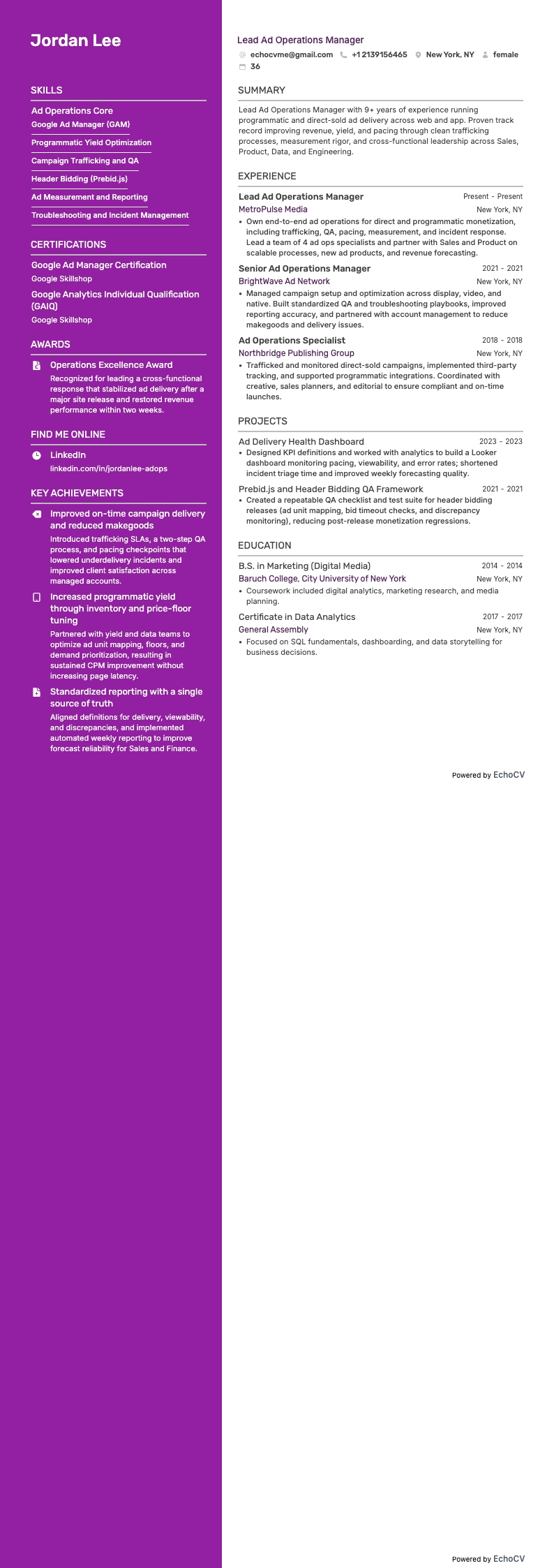 Lead Ad Operations Manager example resume