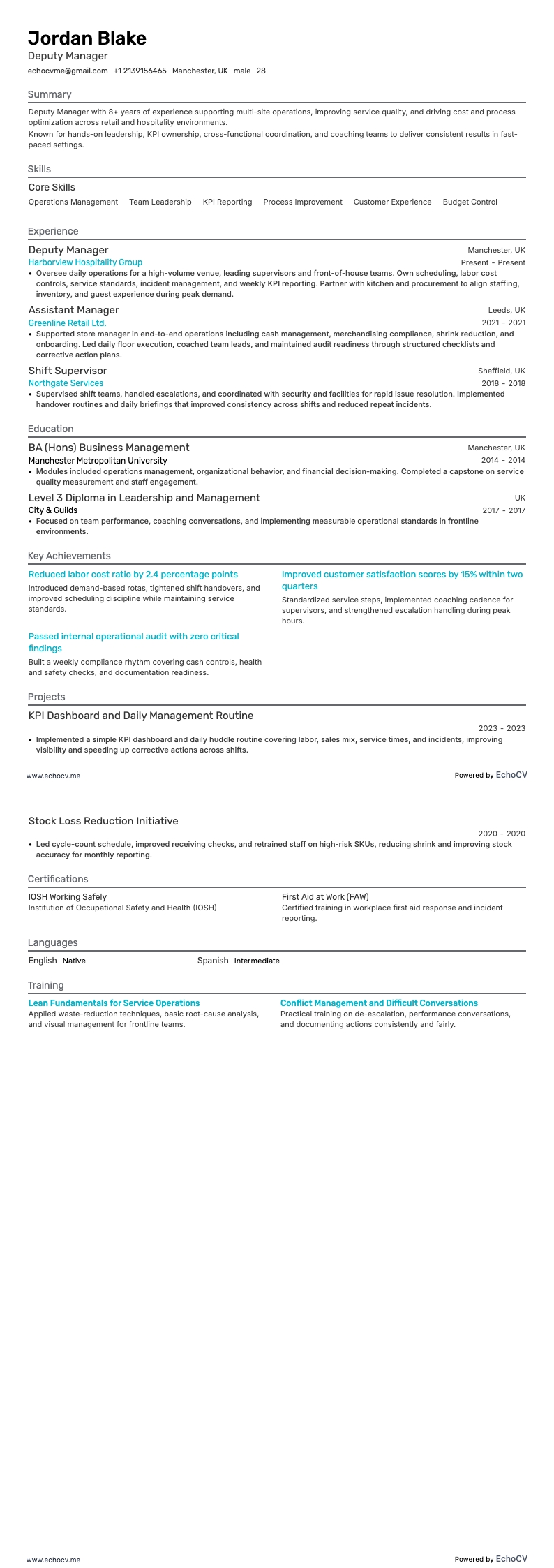 Deputy Manager example resume