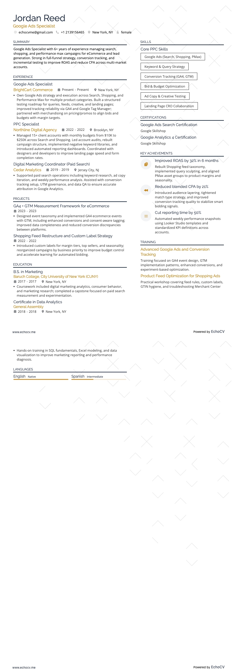 Google Ads 專家 example resume