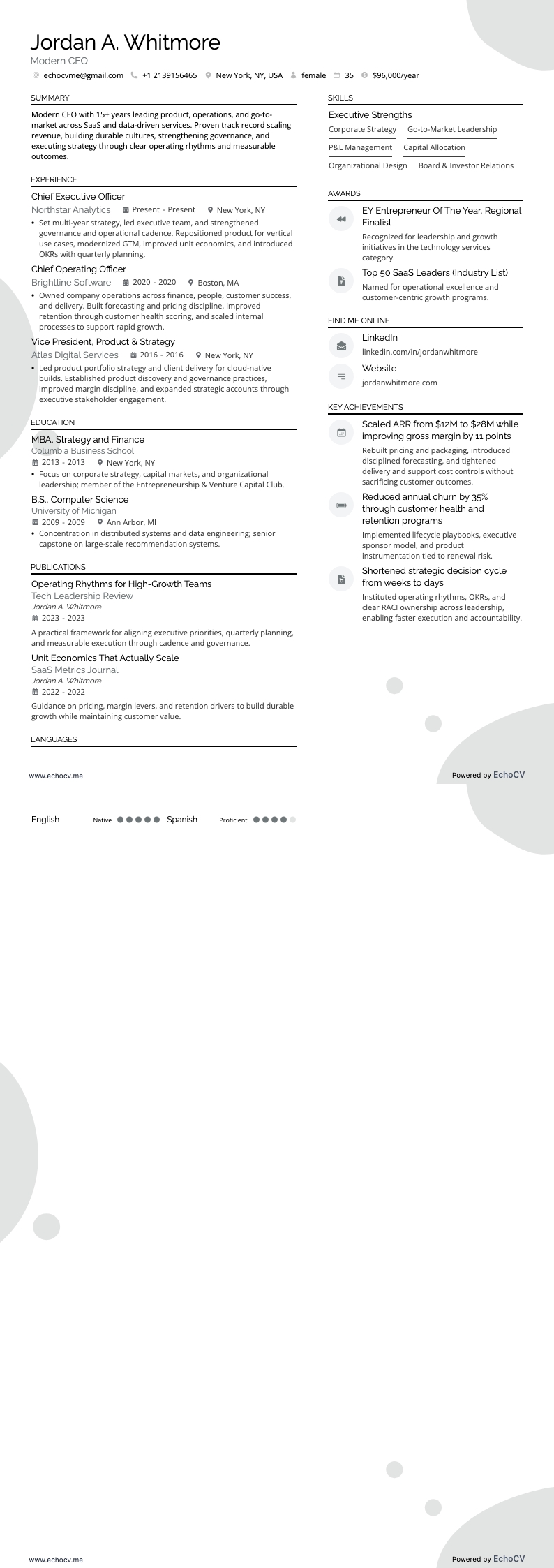 Modern CEO example resume