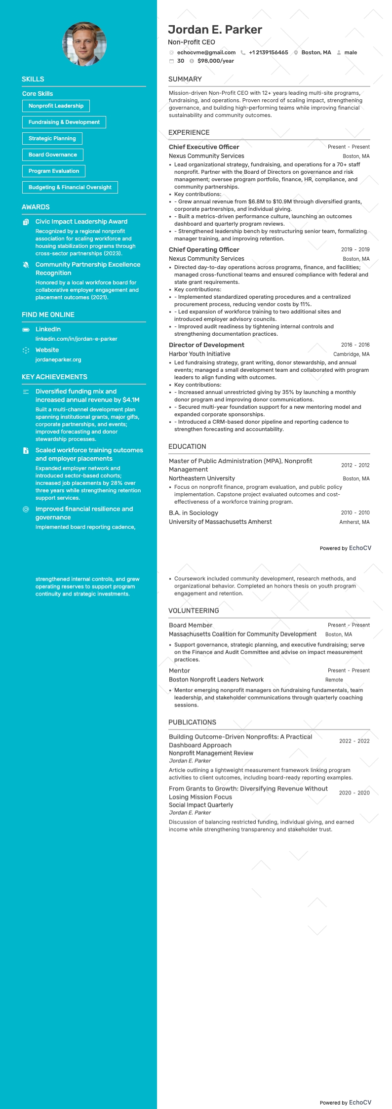 Non-Profit CEO example resume
