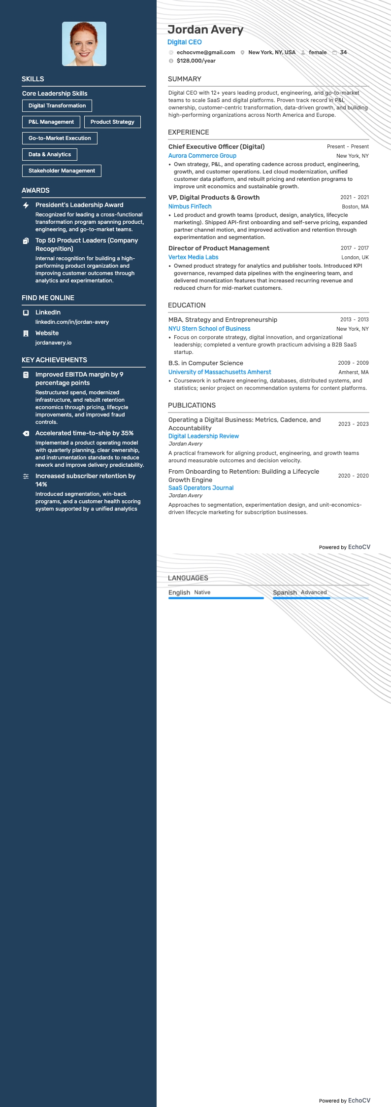 Digital CEO example resume