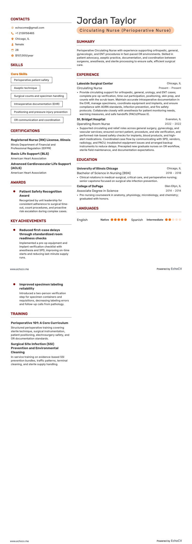 巡回护士 example resume