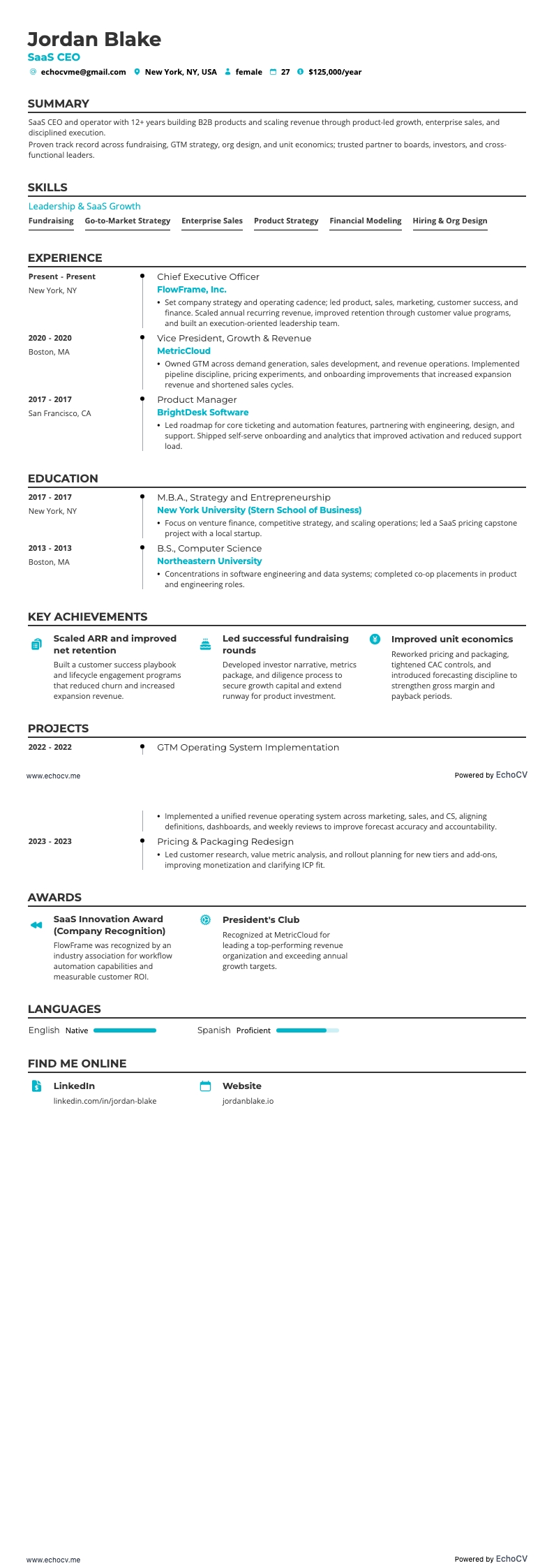 SaaS CEO example resume