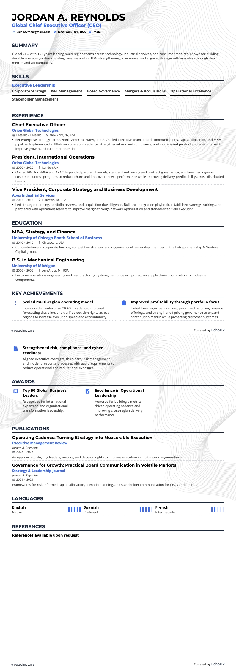 Global CEO example resume