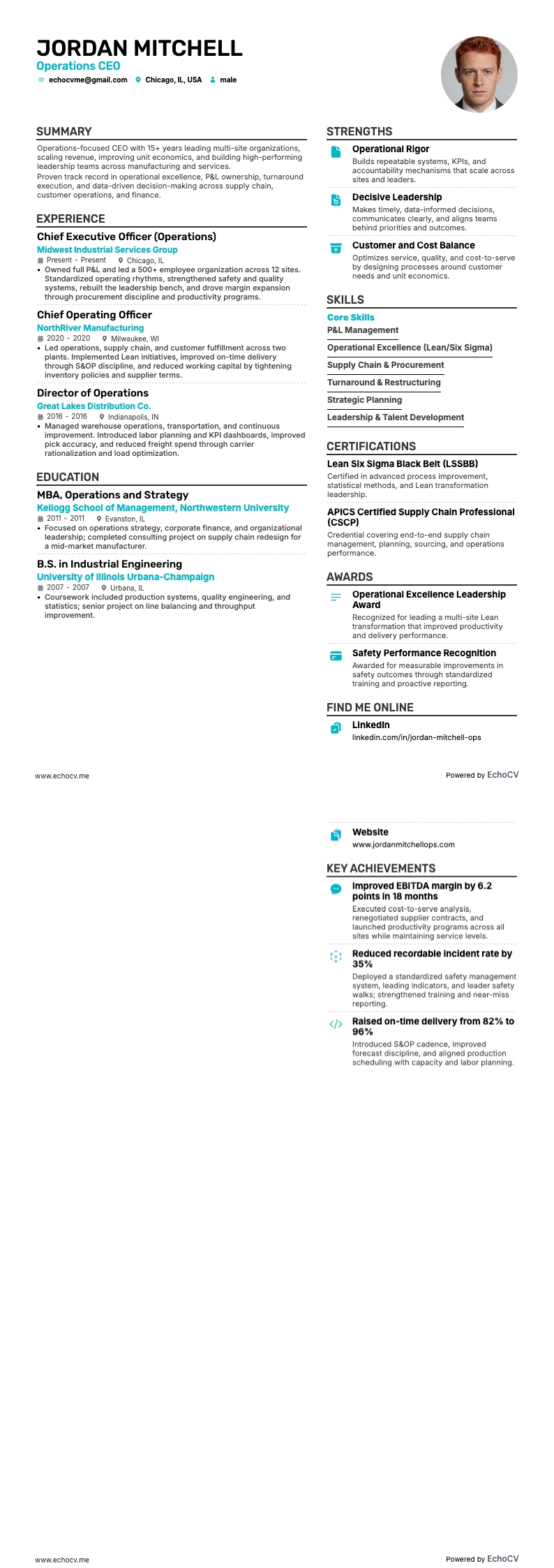 Diretor executivo resume example