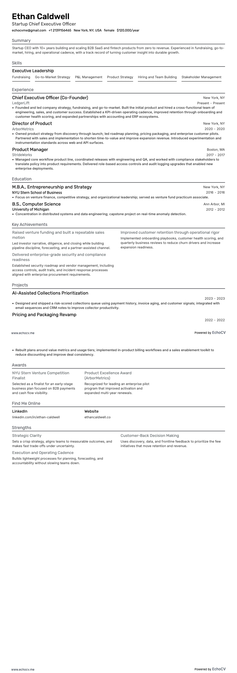 Startup Chief Executive Officer example resume