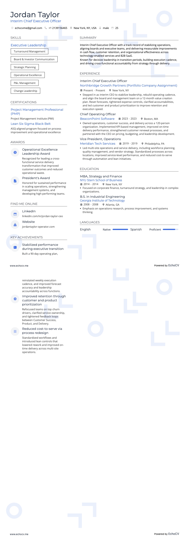 Interim Chief Executive Officer full preview