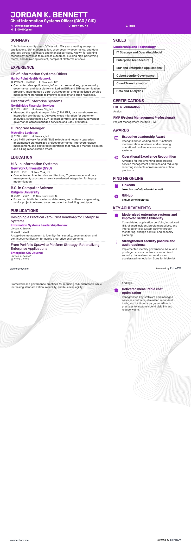 CIO resume example