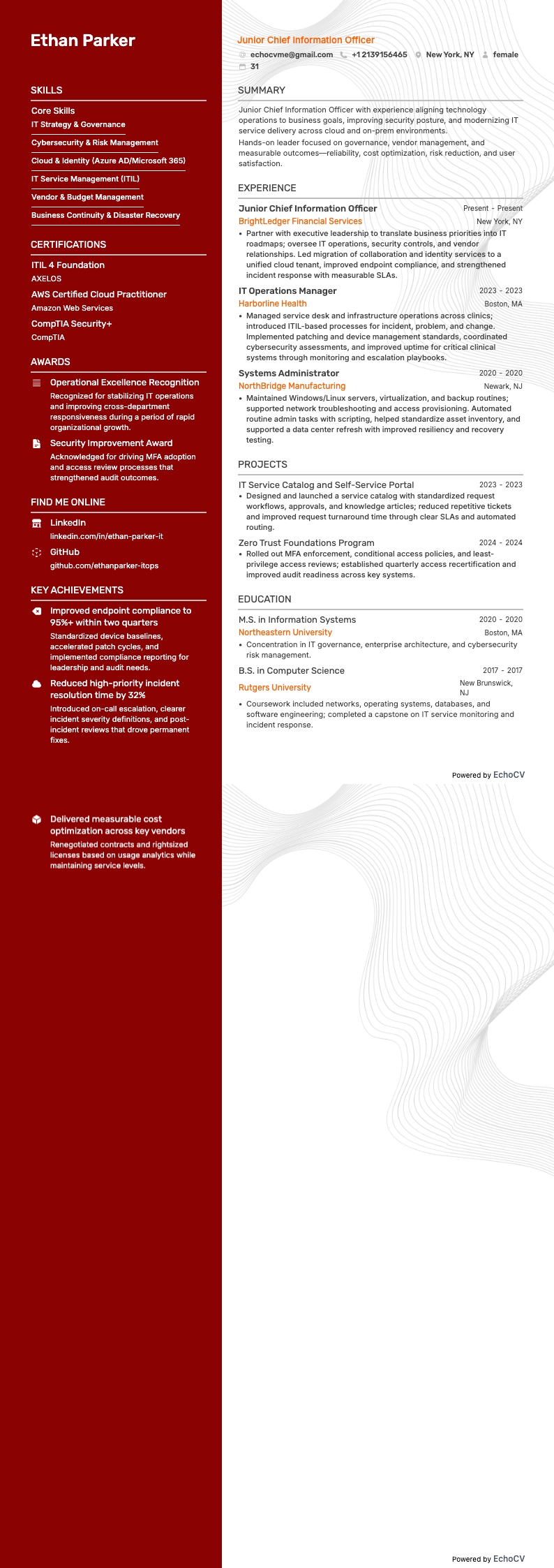 Junior Chief Information Officer example resume