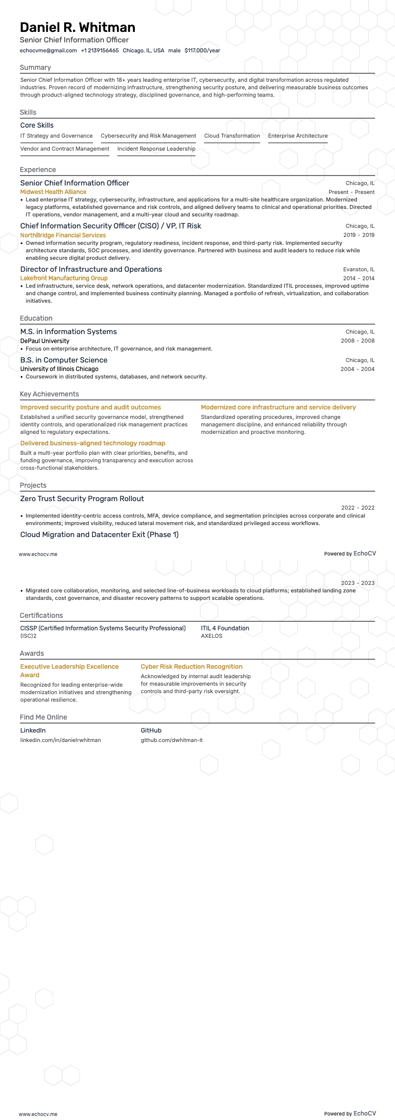 Senior Chief Information Officer example resume