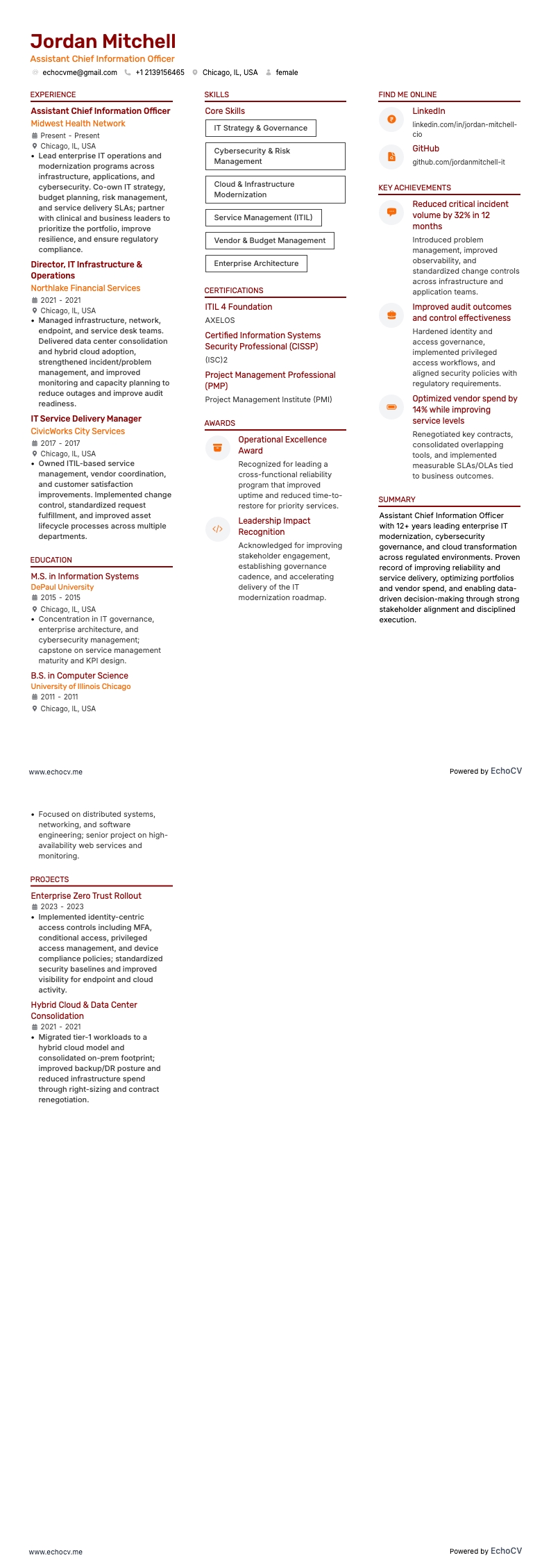 Assistant Chief Information Officer