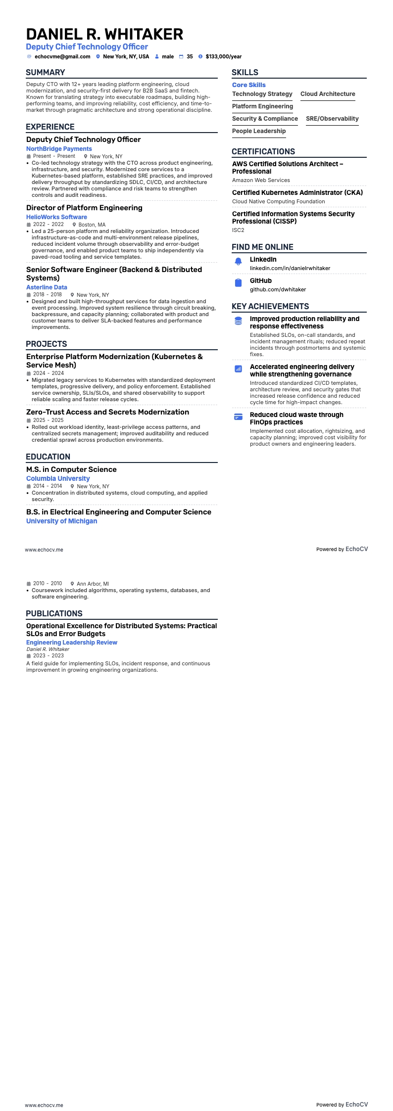 Deputy Chief Technology Officer example resume