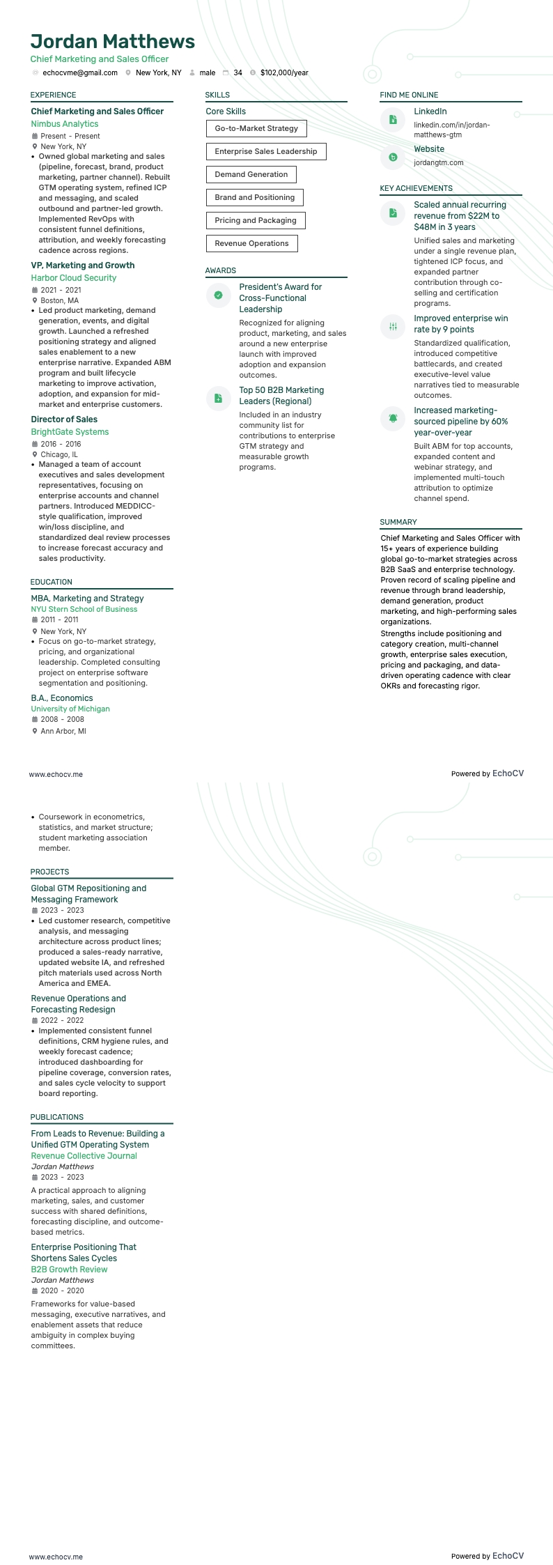 Diretor de Marketing resume example