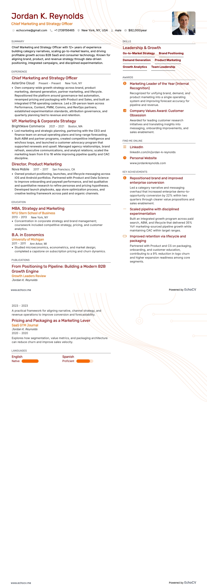 Directeur marketing et stratégie example resume