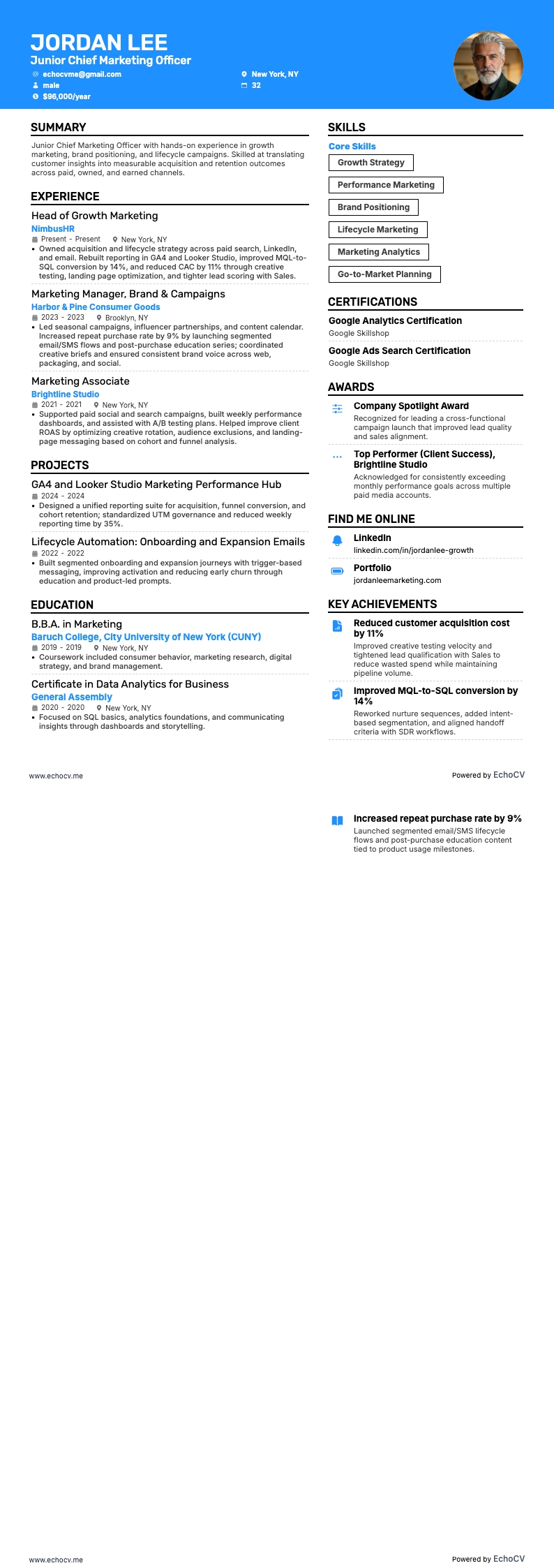 Directeur marketing junior example resume