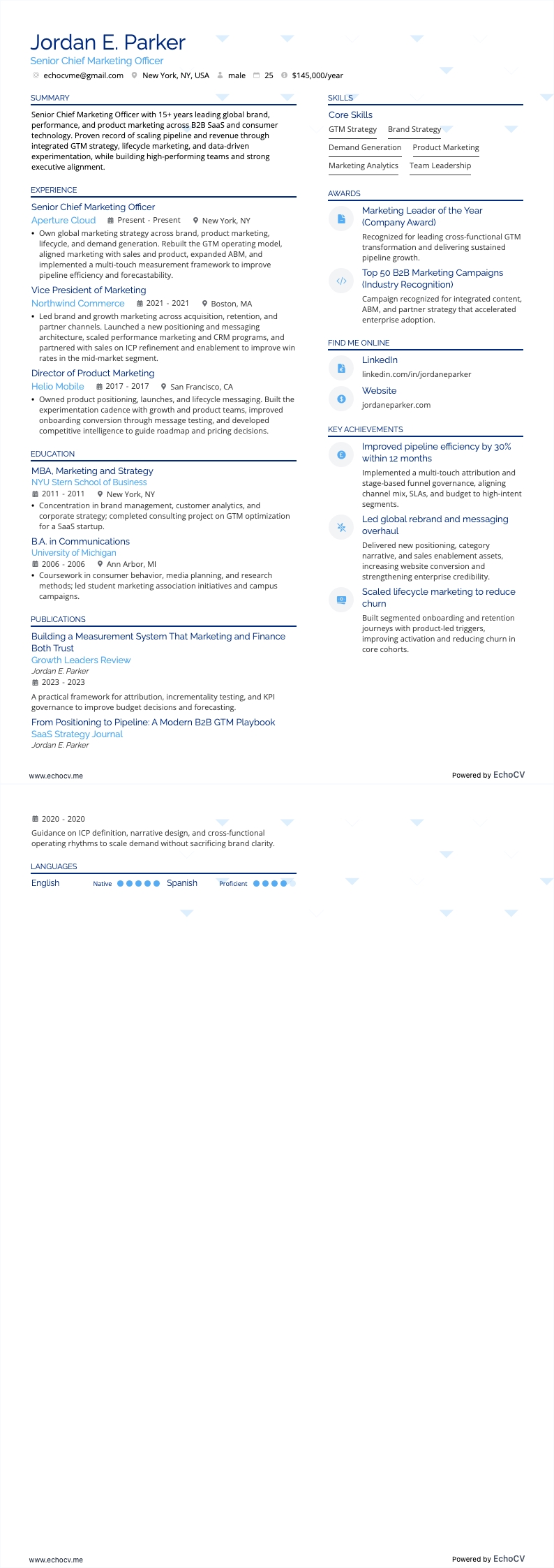 Directeur marketing resume example