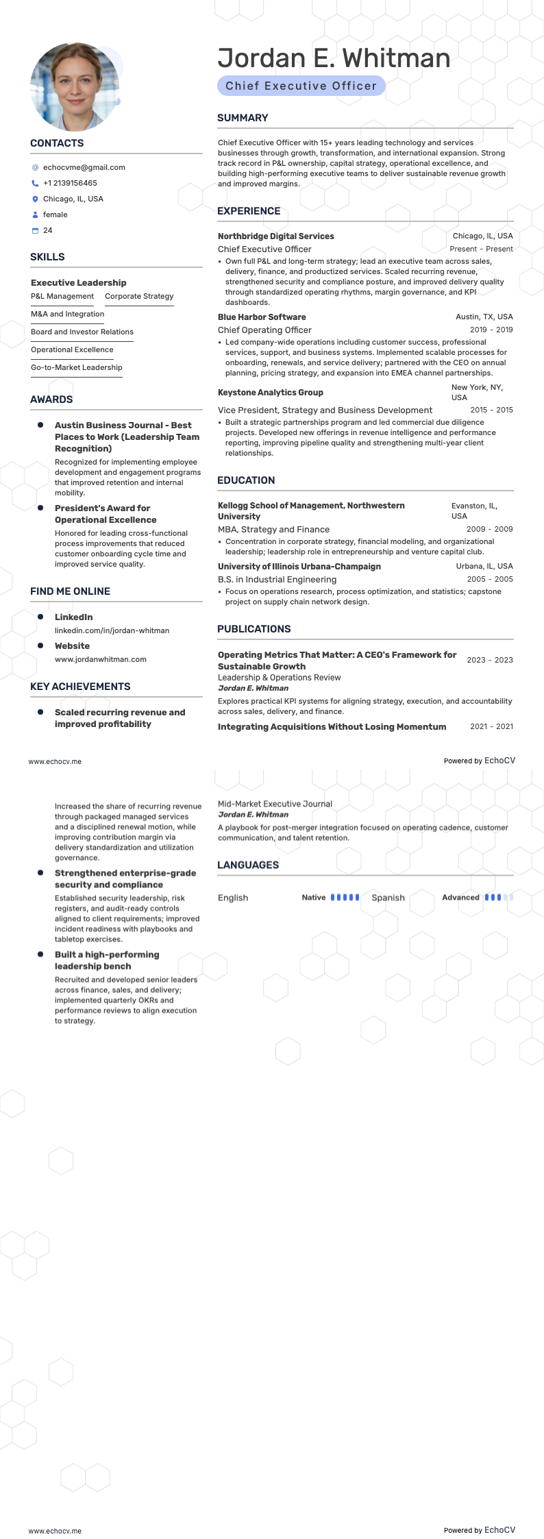 최고경영자 example resume