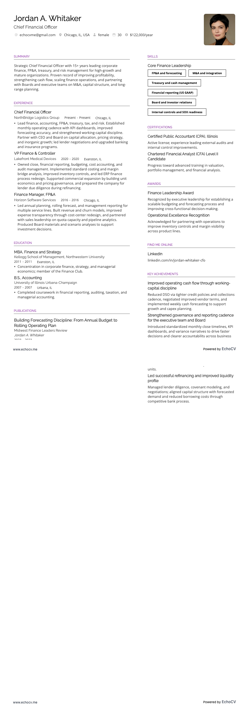 최고재무책임자 example resume