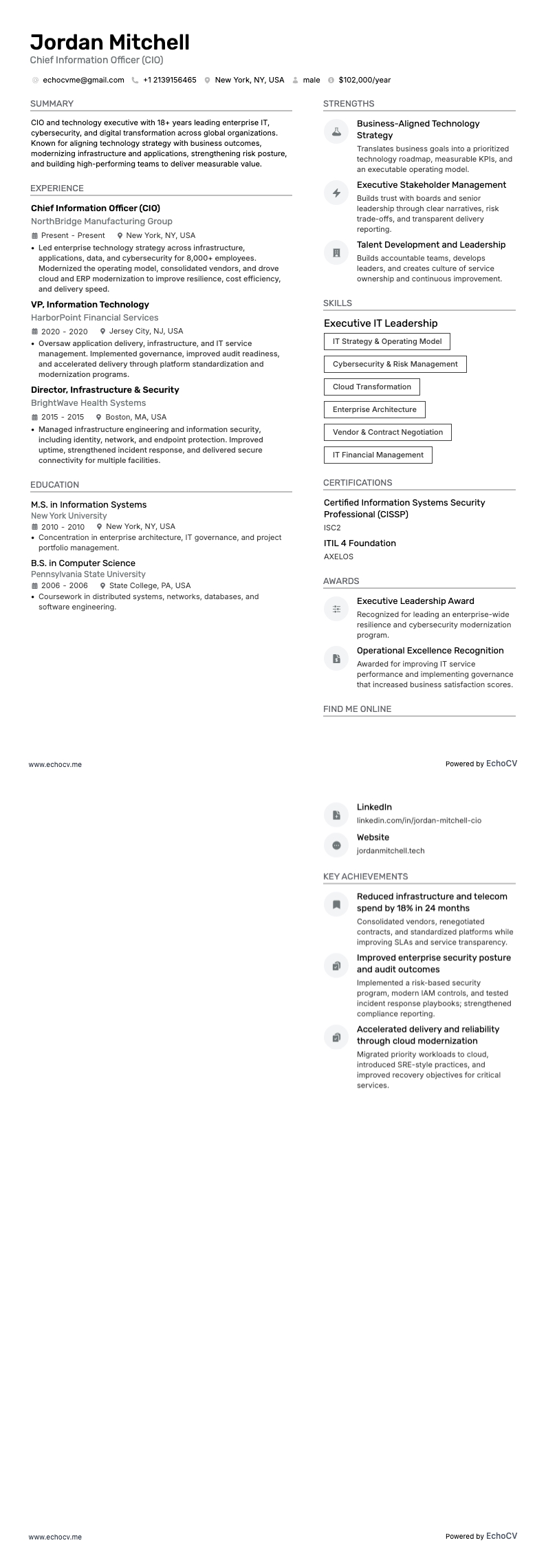 CIO example resume