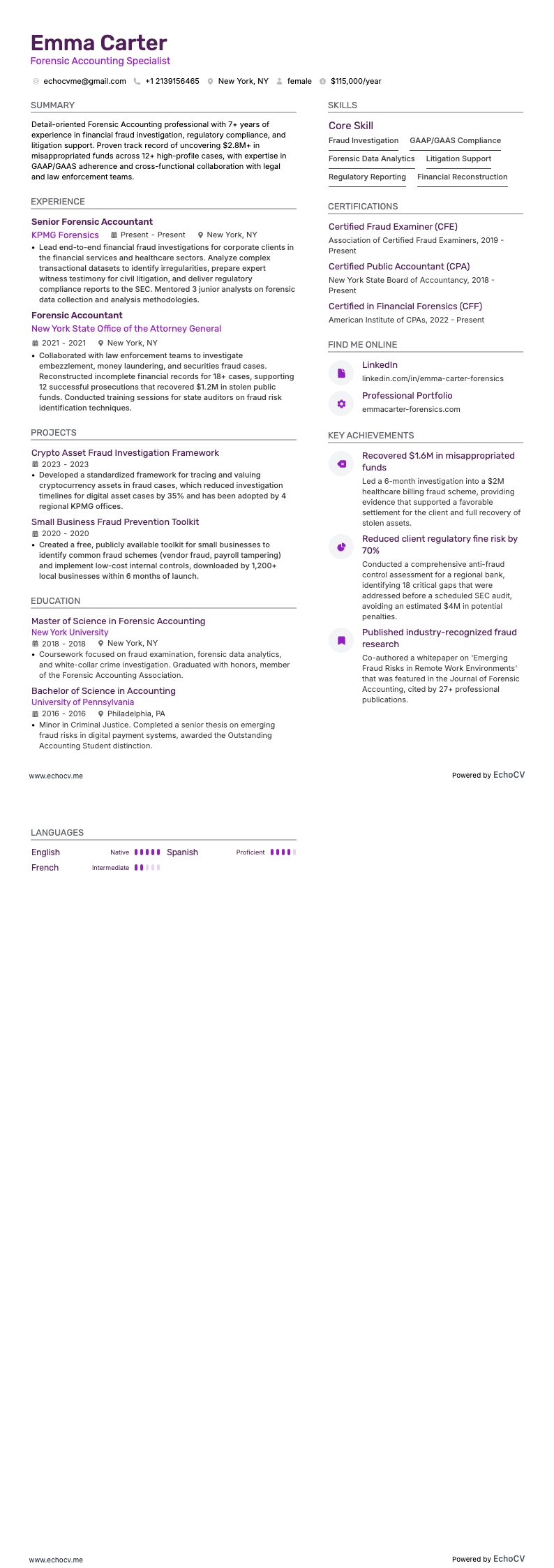 フォレンジック会計 example resume
