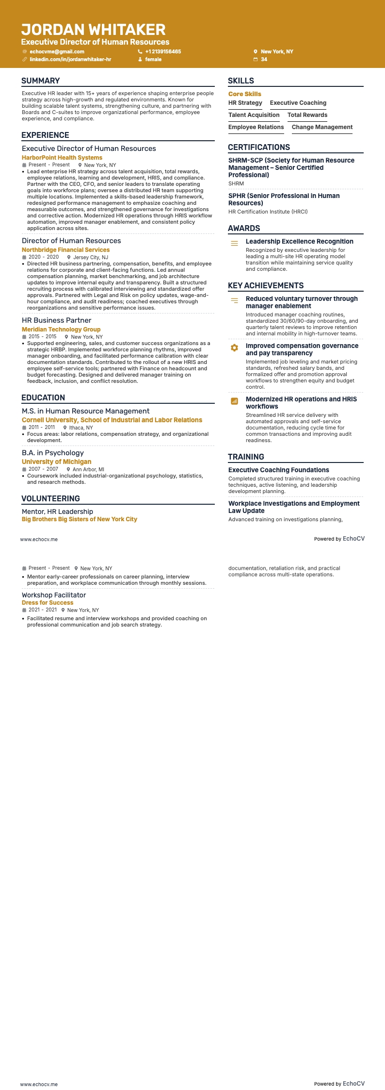 인사 총괄 전무 example resume