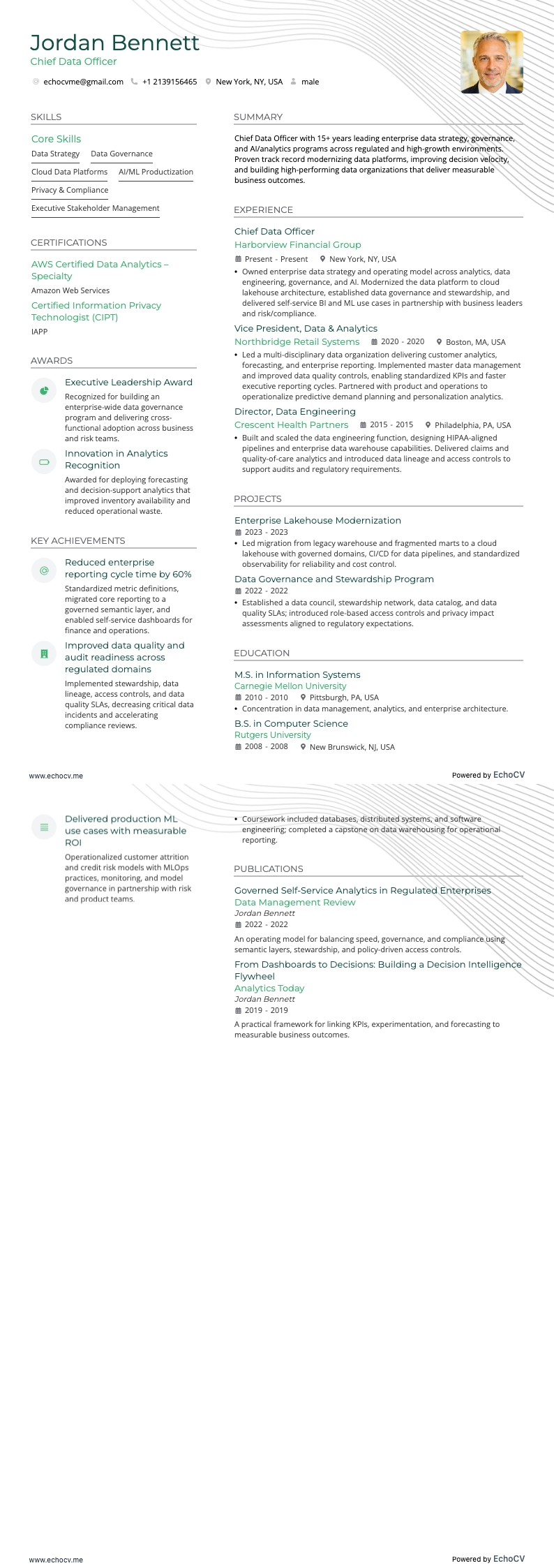 최고 데이터 책임자 example resume
