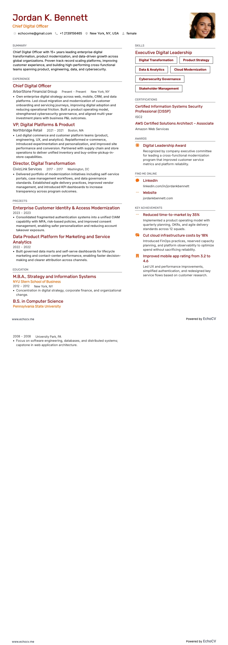 최고 디지털 책임자 example resume