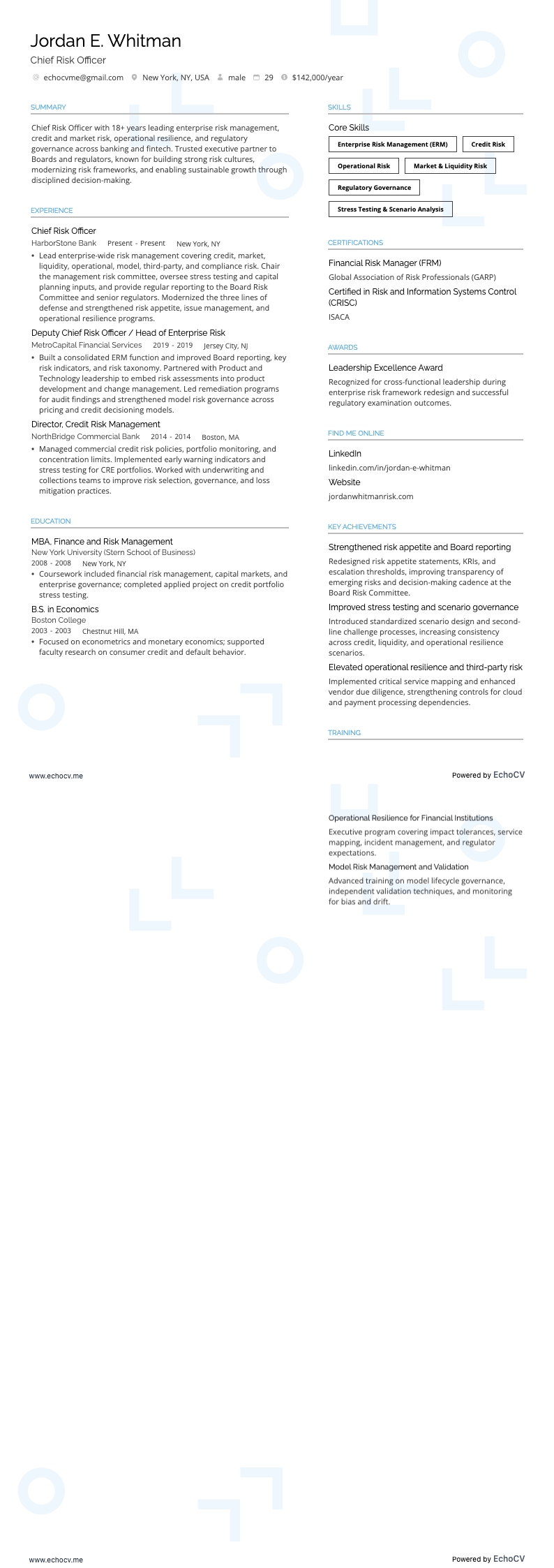 최고 리스크 책임자 example resume