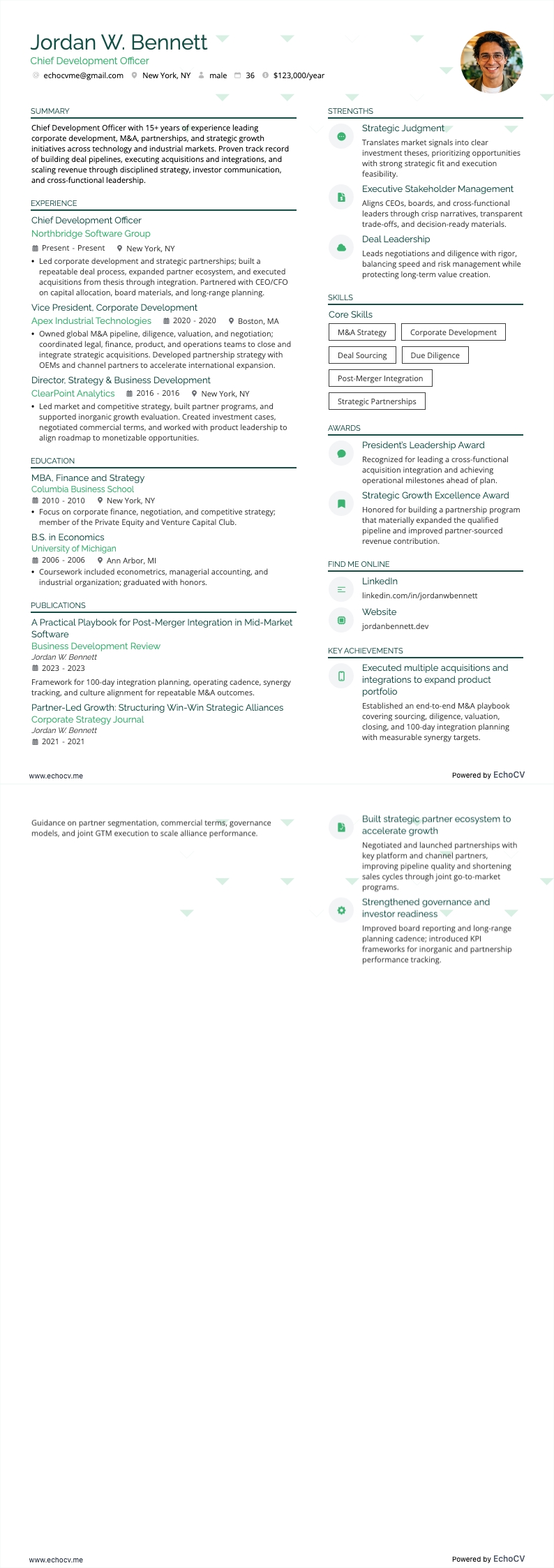 최고개발책임자 example resume