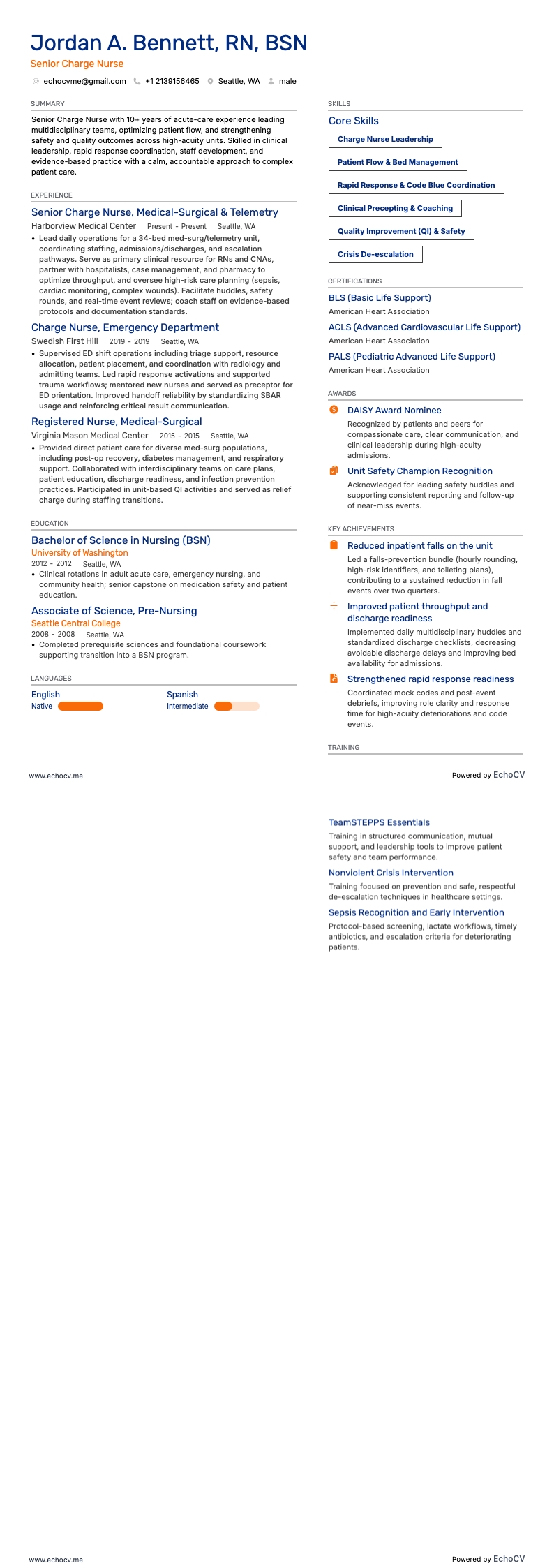 Senior Charge Nurse full preview