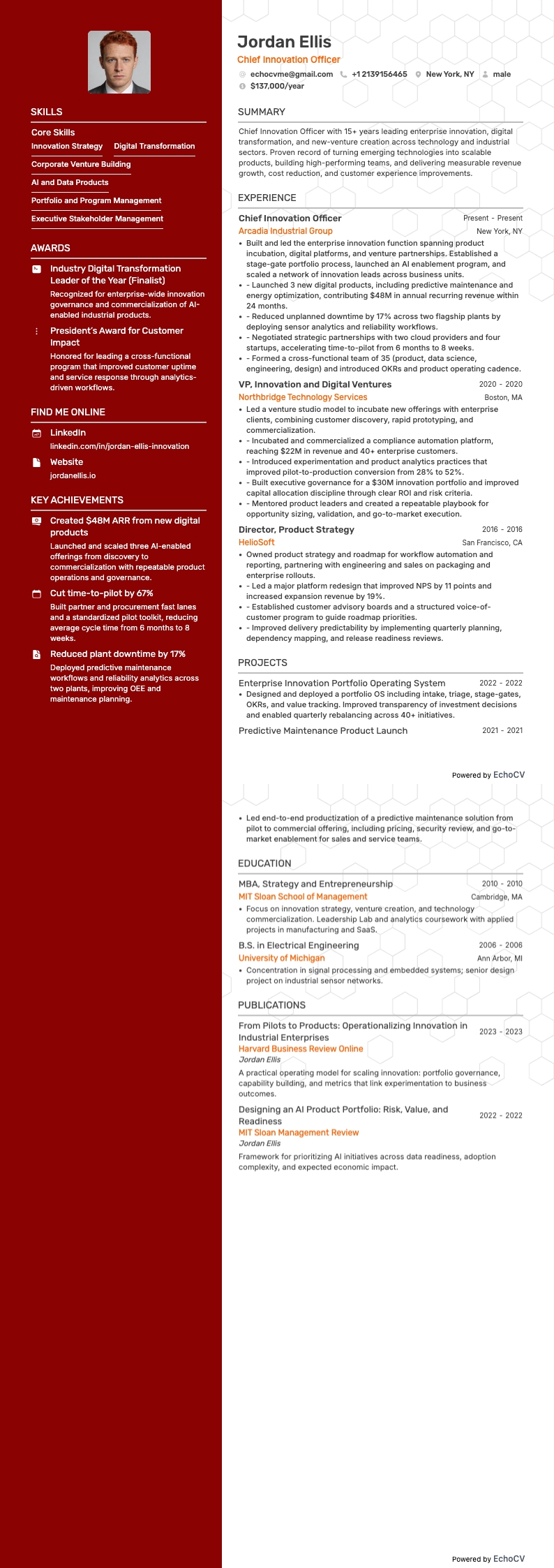 최고 혁신 책임자 example resume