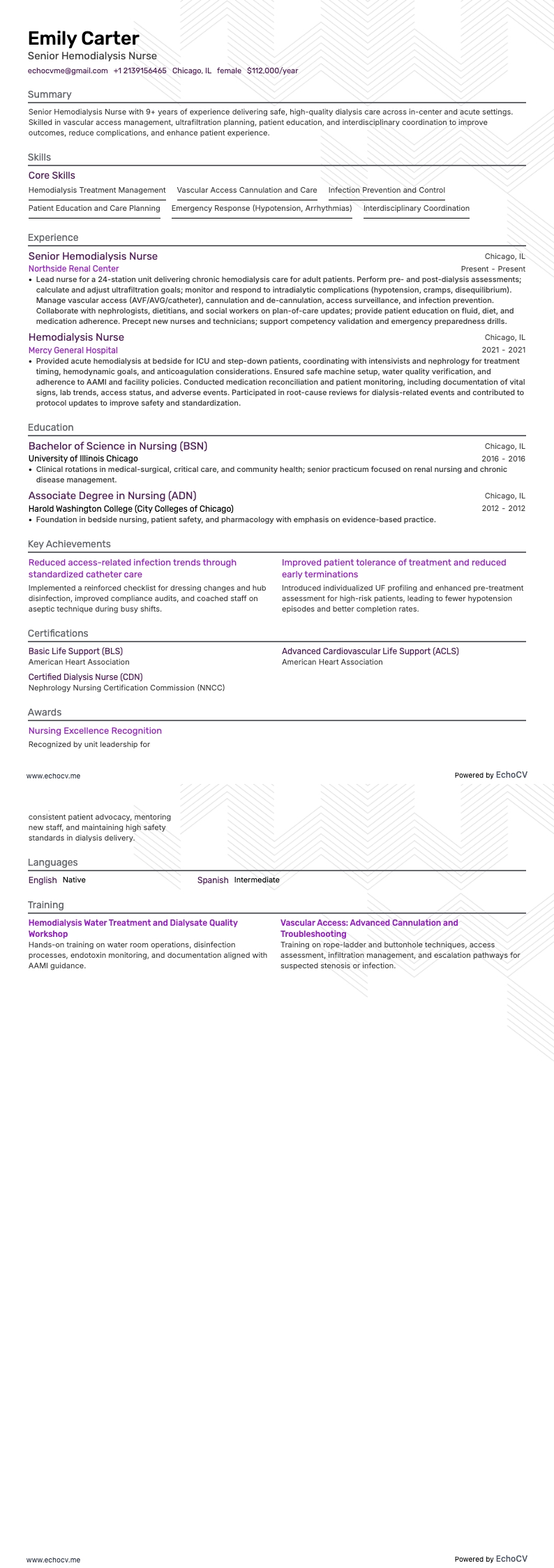 主任血液透析看護師 example resume