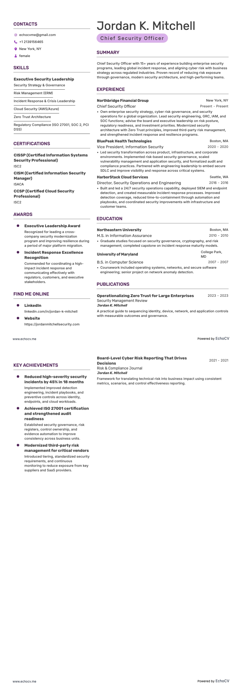 최고 보안 책임자 example resume