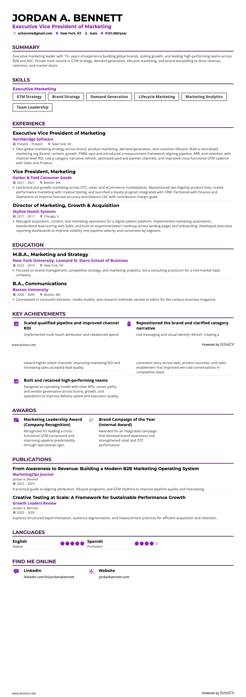 마케팅 수석 부사장 example resume
