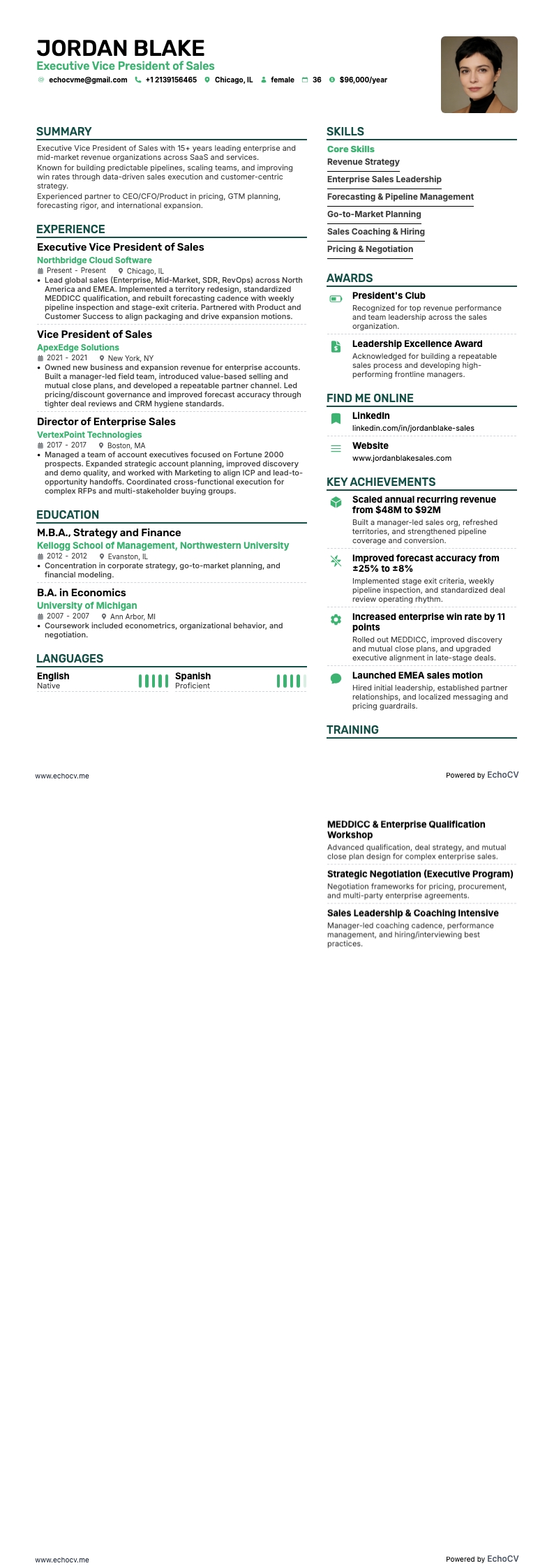 영업 수석 부사장 example resume